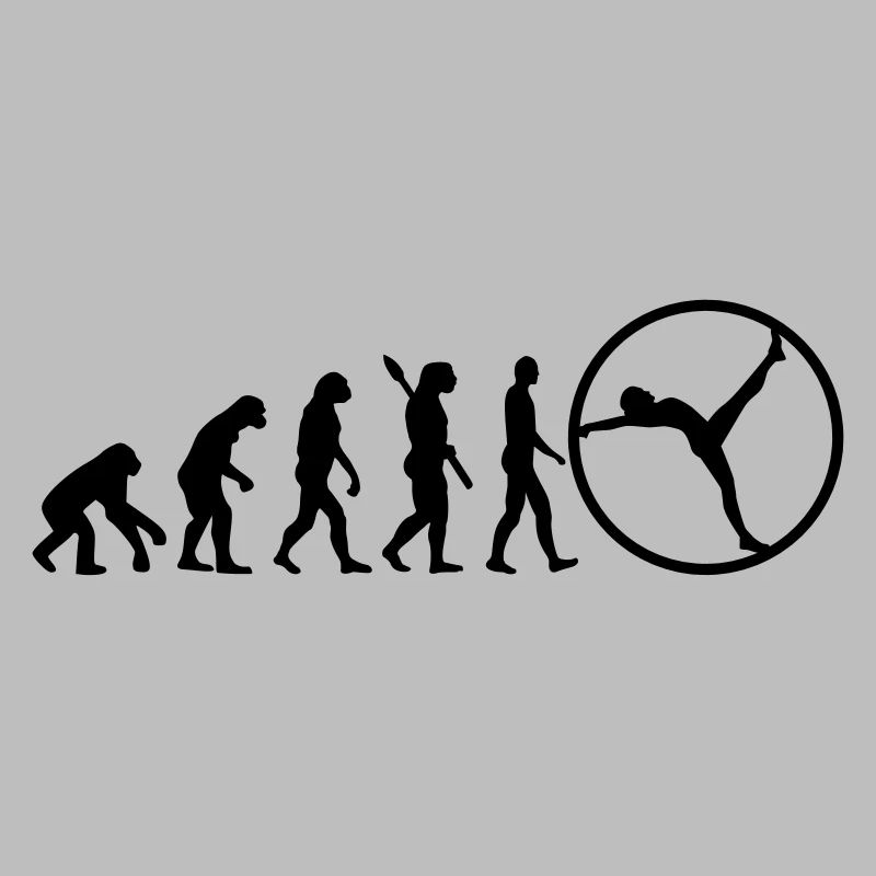 Evolution gymwheel