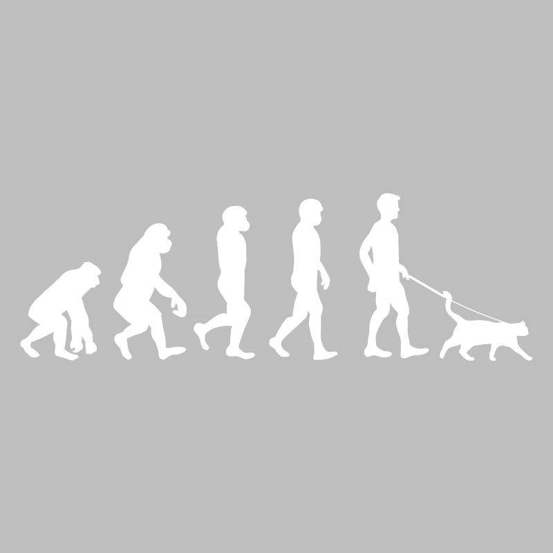 Katzen - Evolution