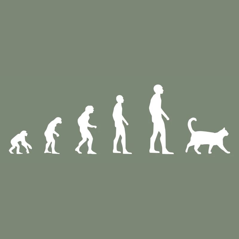 Chat - Evolution