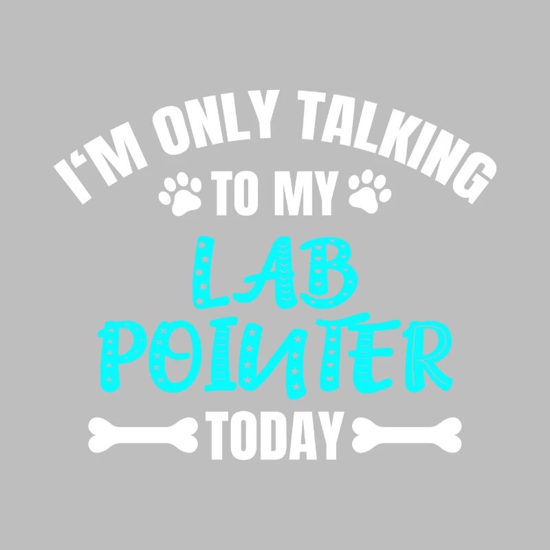 Lab Pointer