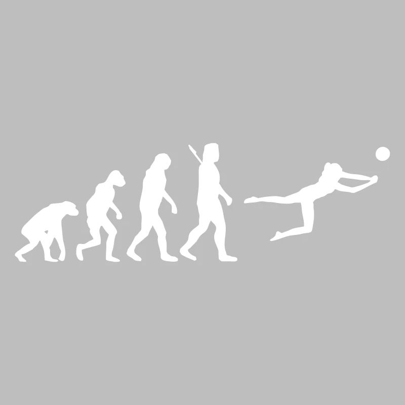 Evolution Beachvolleyball