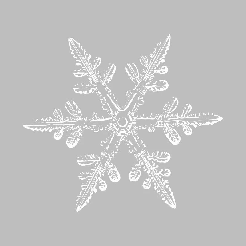 snowflake 8 white