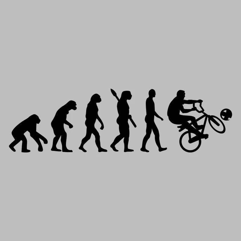 Evolution Cycle ball