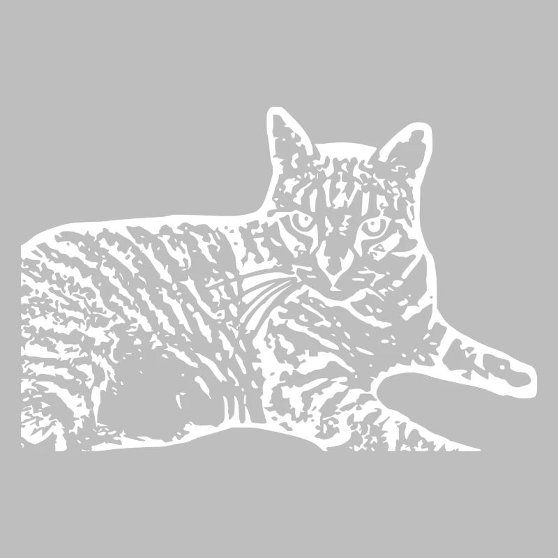 Chat Blanc Blanc Chats