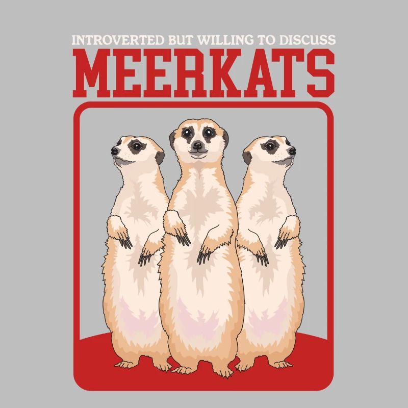 Erdmännchen coole Erdmännchen