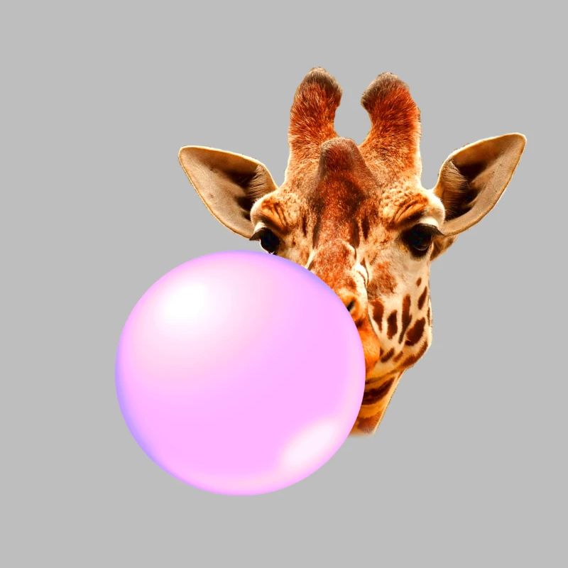 Giraffe Mit Kaugummi
