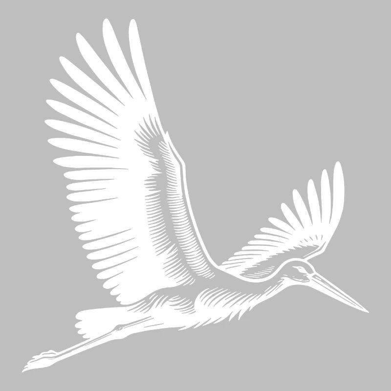 Flying Stork