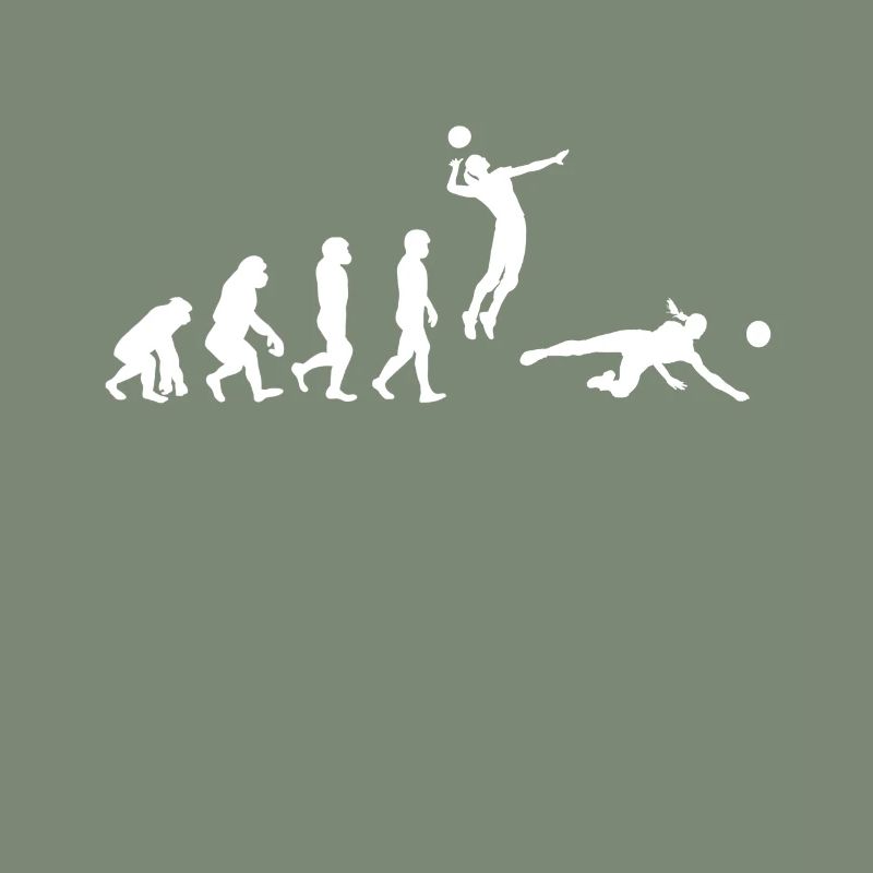 Volley-ball Evolution