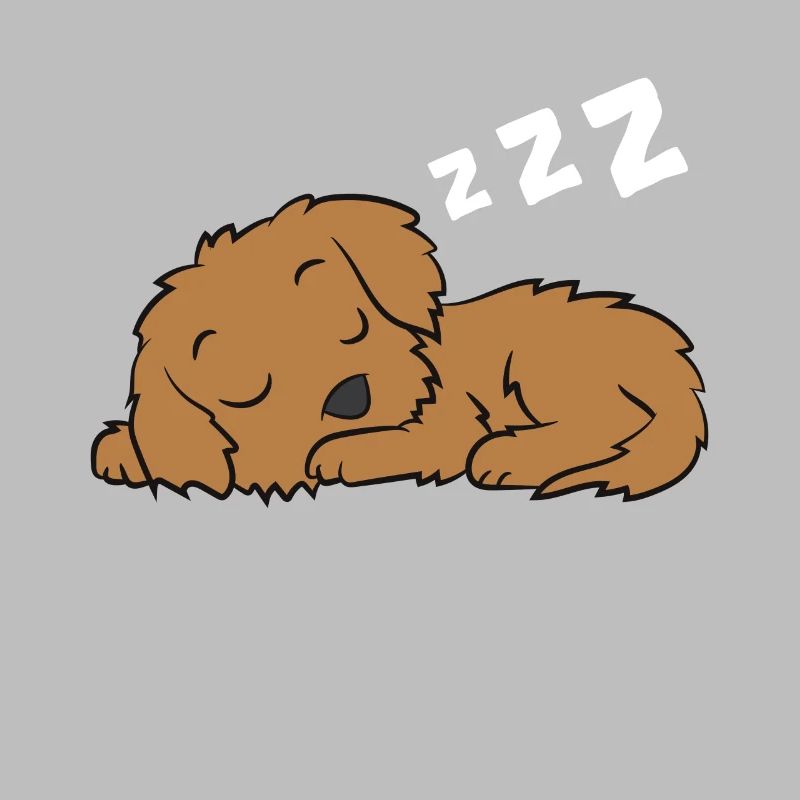 Cockapoo Pyjama Mignon Cockapoo Chien Sommeil