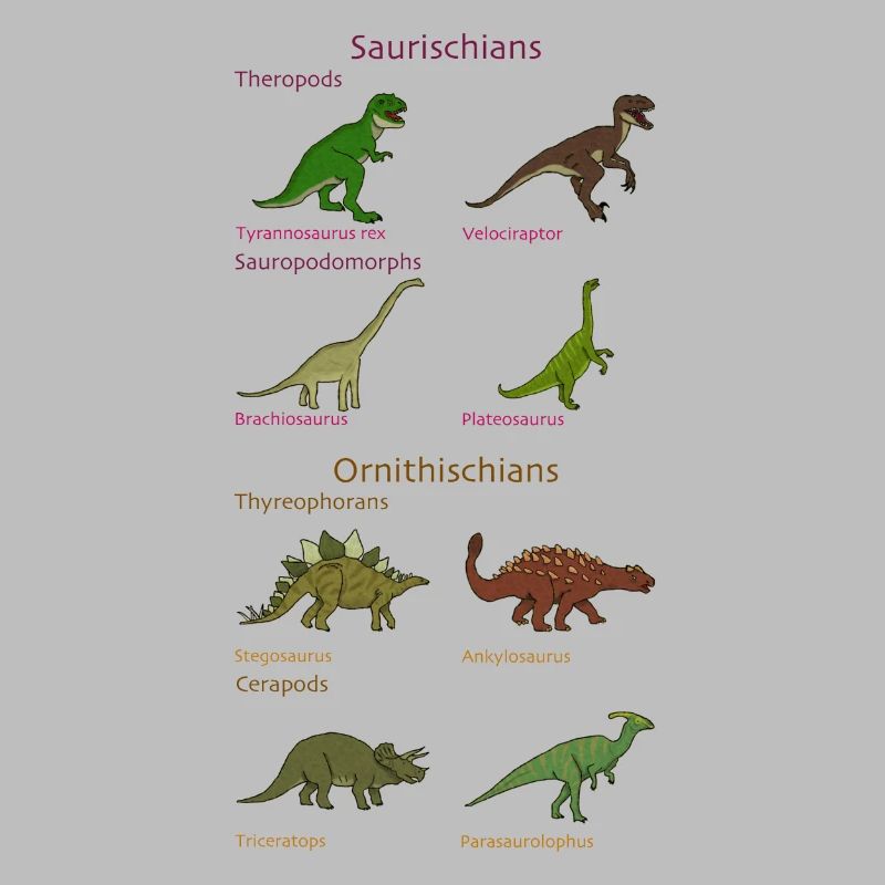 Dinosaur Classification