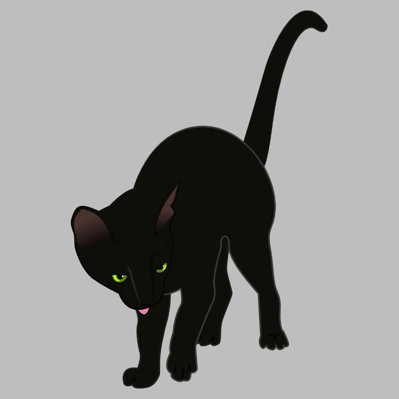 chat noir