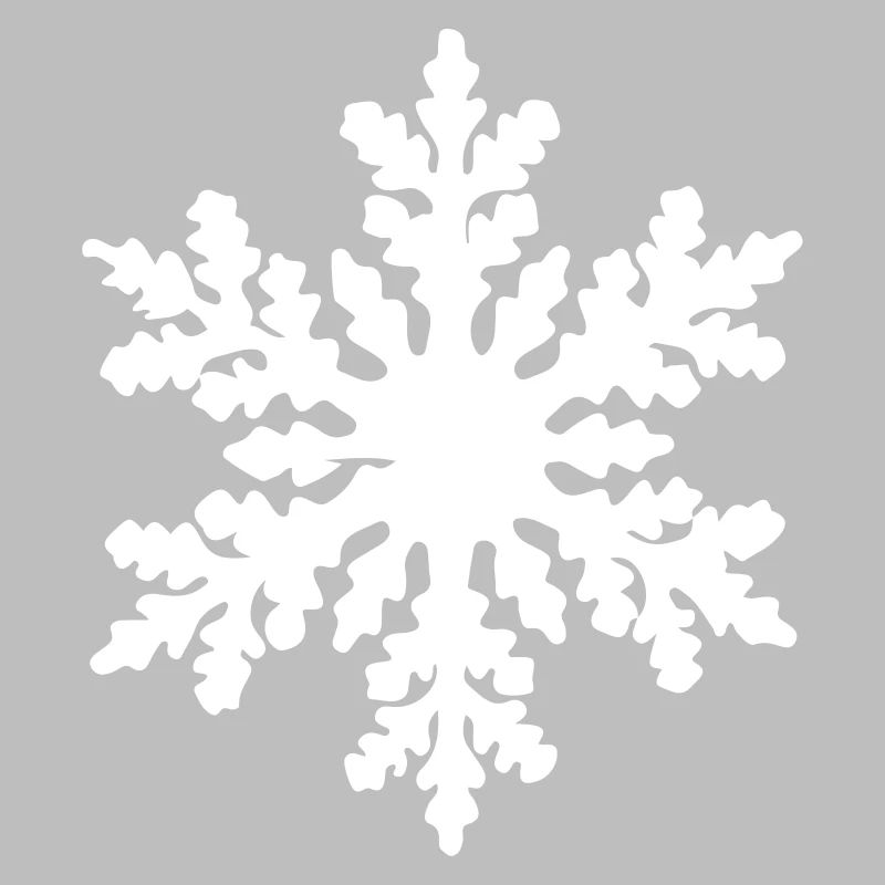 flocon de neige 2