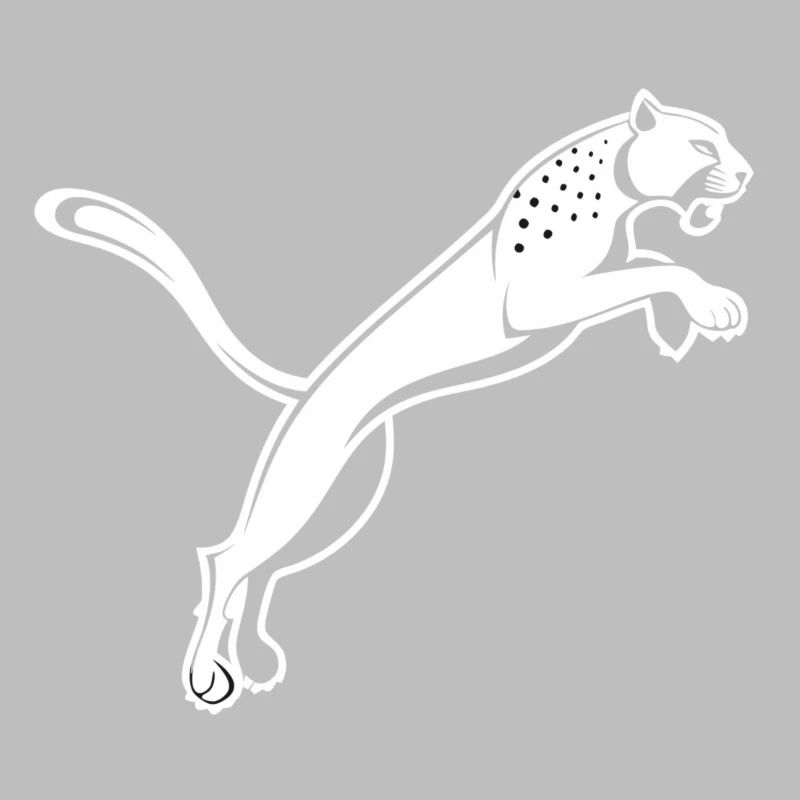 Leaping Leopard