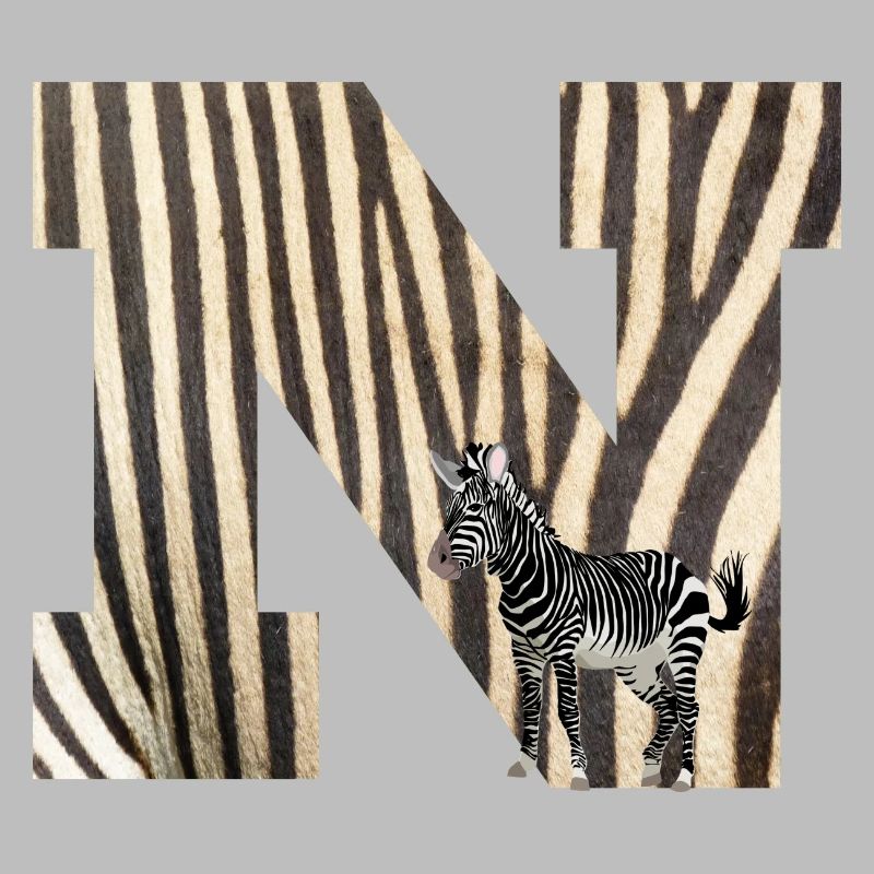 zebra n