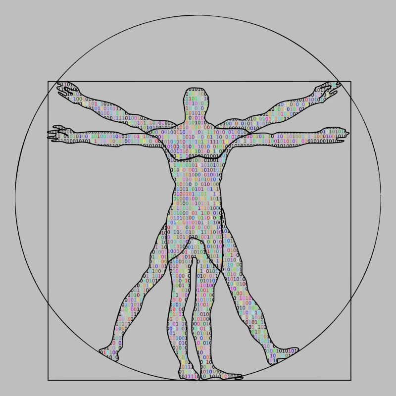 Da Vinci Programmeur Idée de cadeau