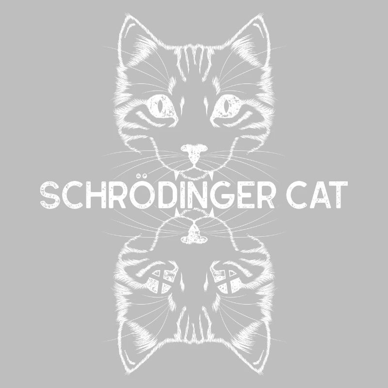Quantentheorie Schrödingers Katze