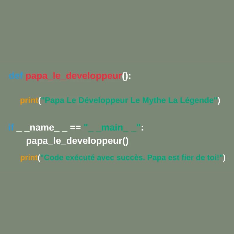 Code du programme Papa développeur