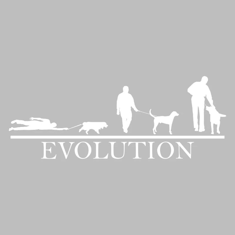 Evolution Promener chien