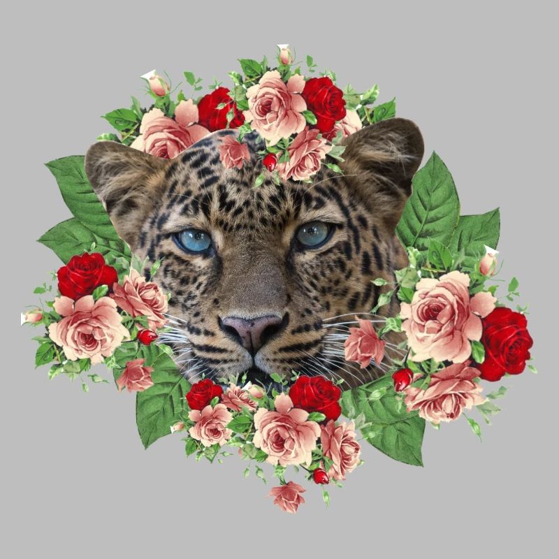 Leo Le Chat