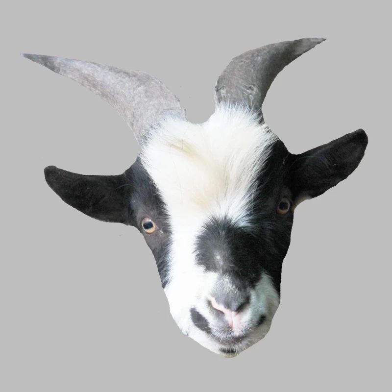 Robin der Ziegenbock