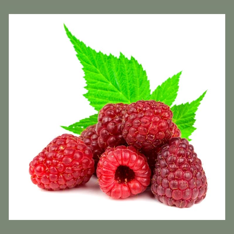 Raspberry. Raspberry