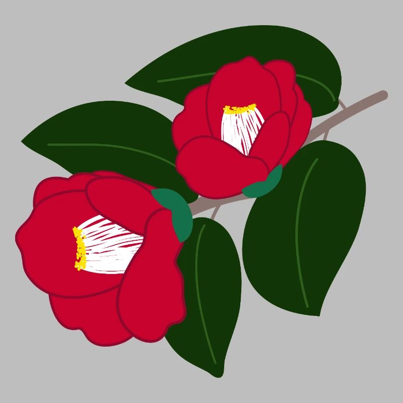 zwei rote Kamelienblüten