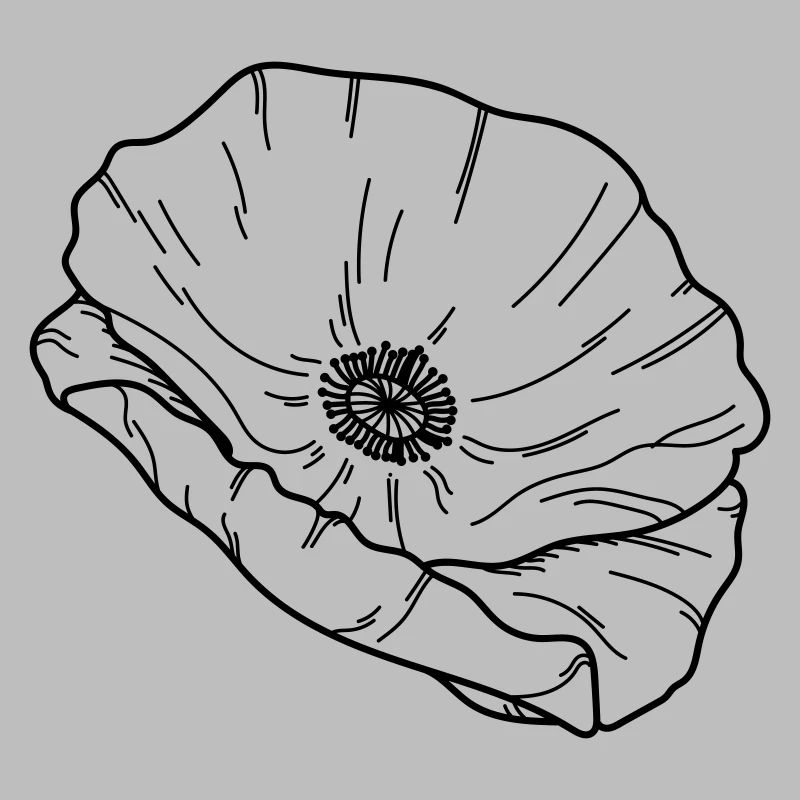 Fleur de pavot Fleur