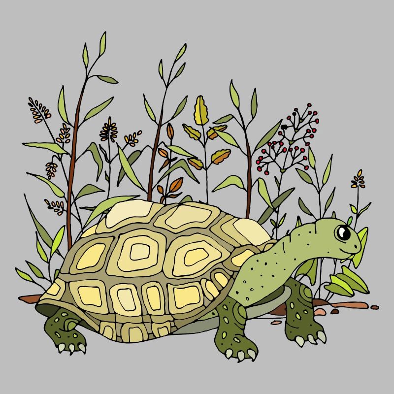 Turtle