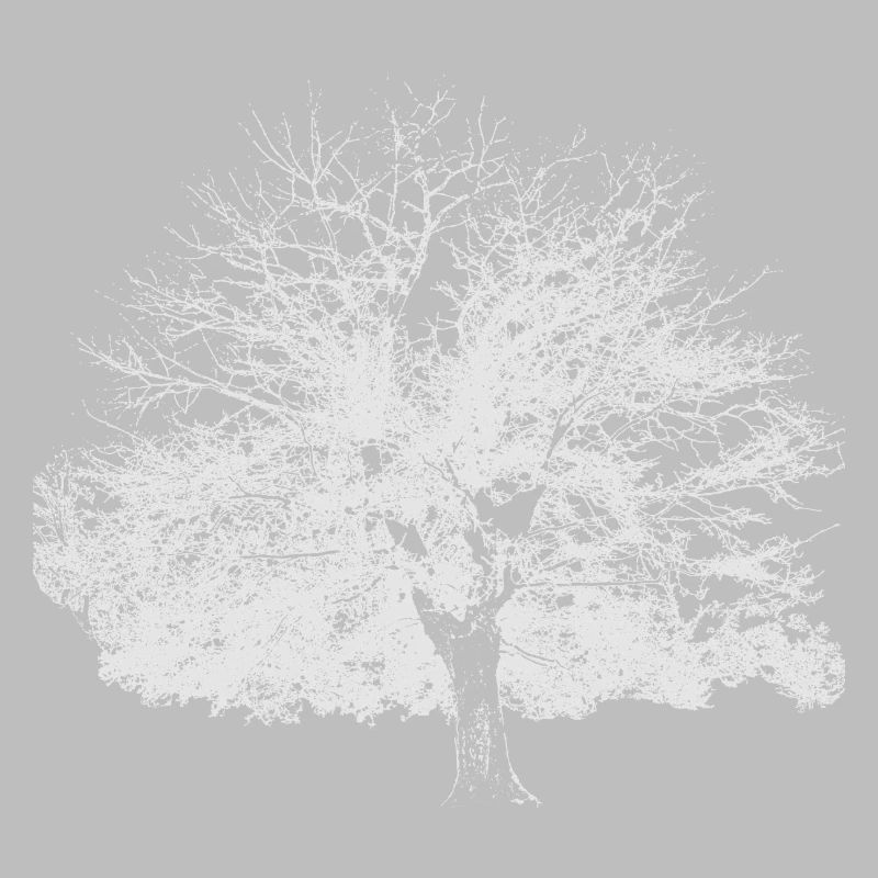 Winter tree white