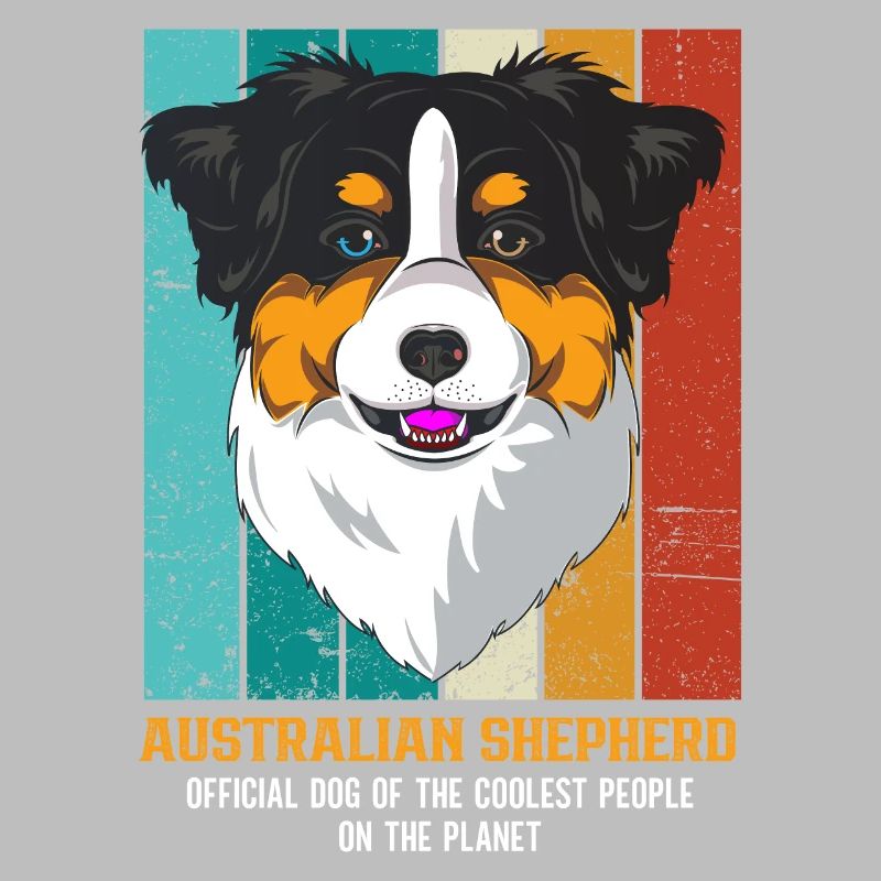 Australischer Schäferhund Aussie Dad Aussie Mom