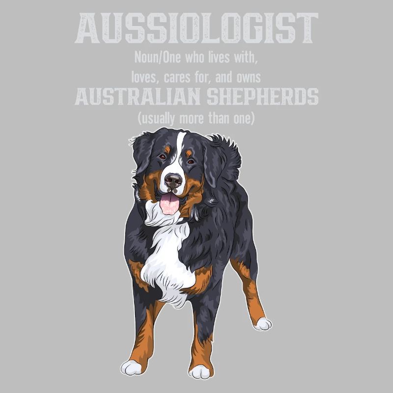 Australischer Schäferhund