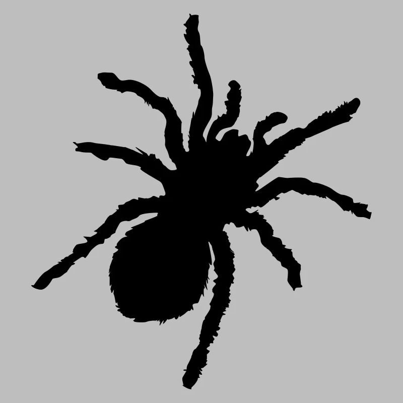 silhouette de spinne
