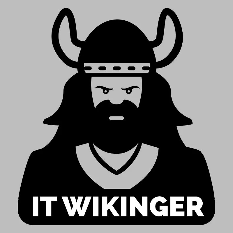 IT Wikinger 2