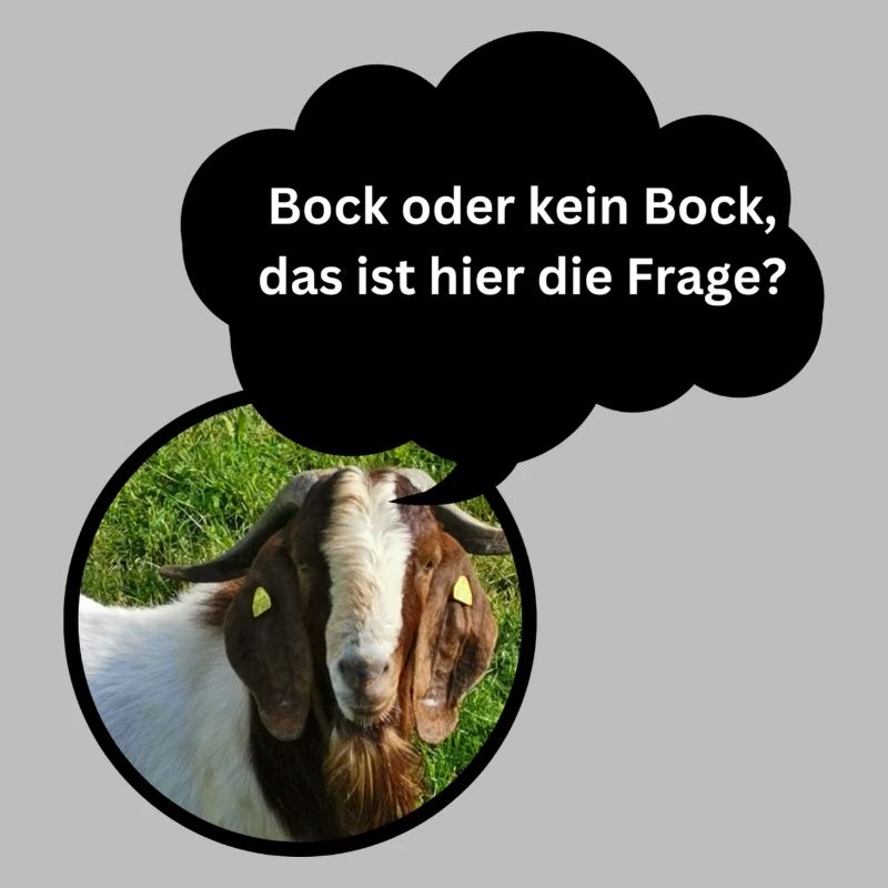 Chemise amusante « Bock oder kein Bock... »