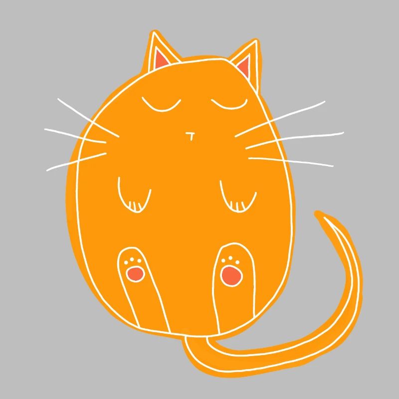 sleeping cat
