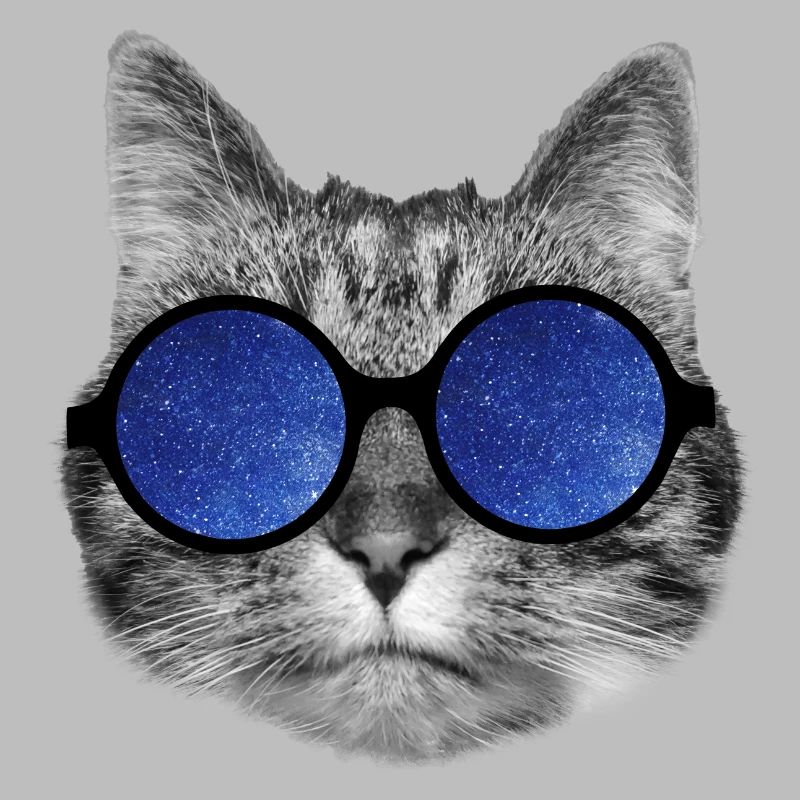 Galaxy cat