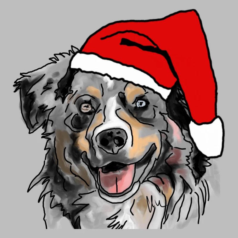 Australian Shepherd Aussie Weihnachten