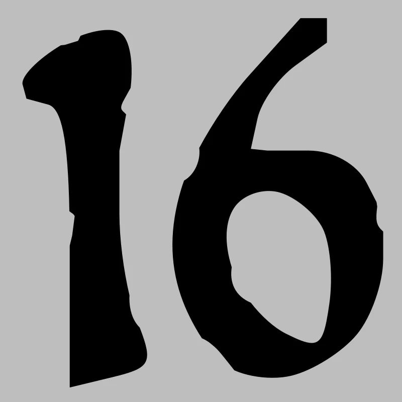 16_vec_1fr