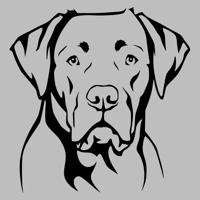 Labrador