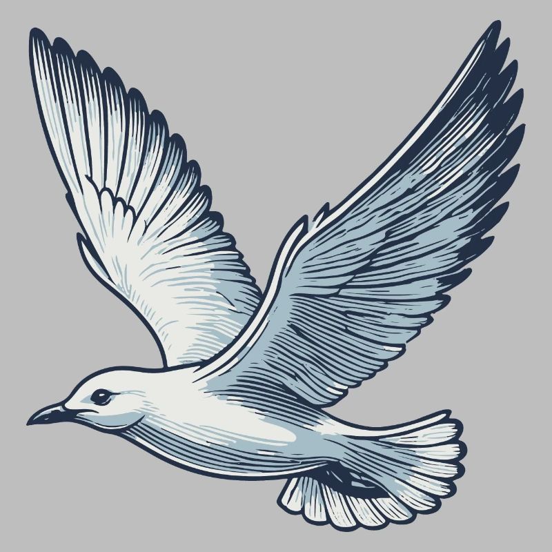 Gull
