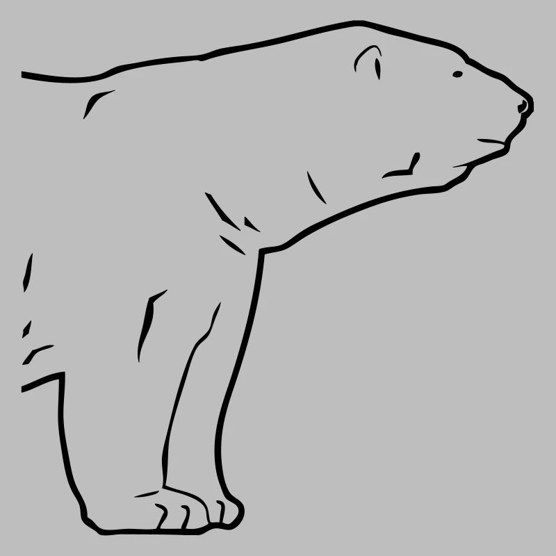 Polar Bear - Eisbär