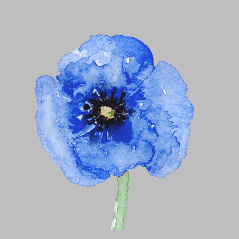 Blume