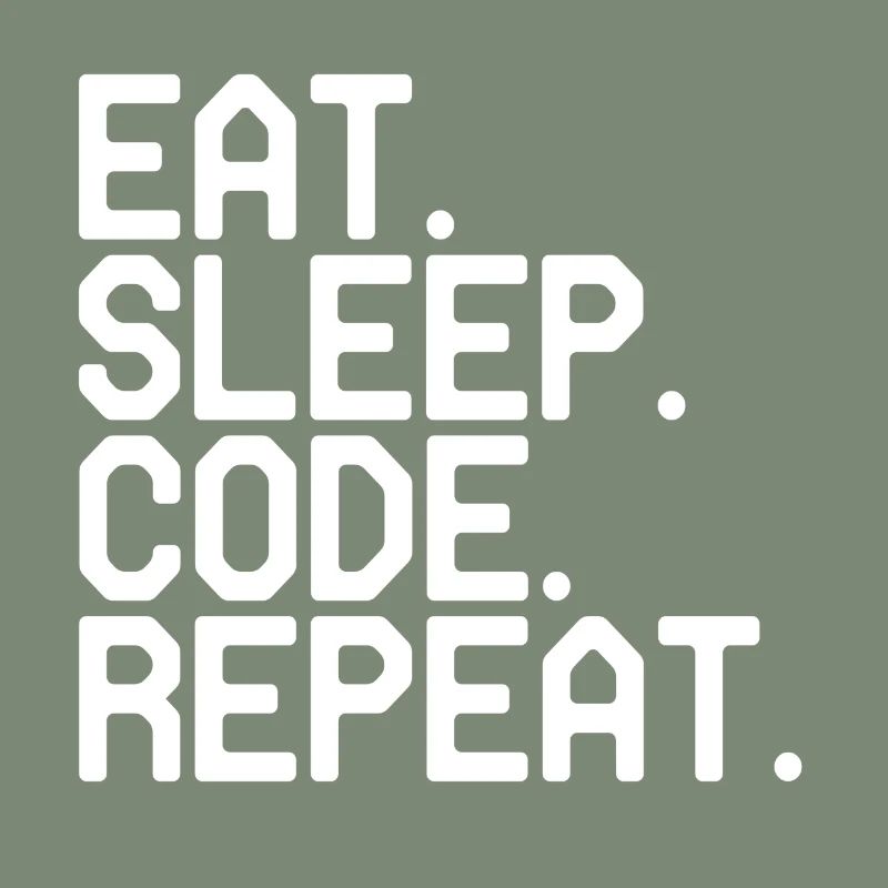 Programmer