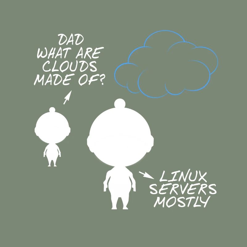 Programmer