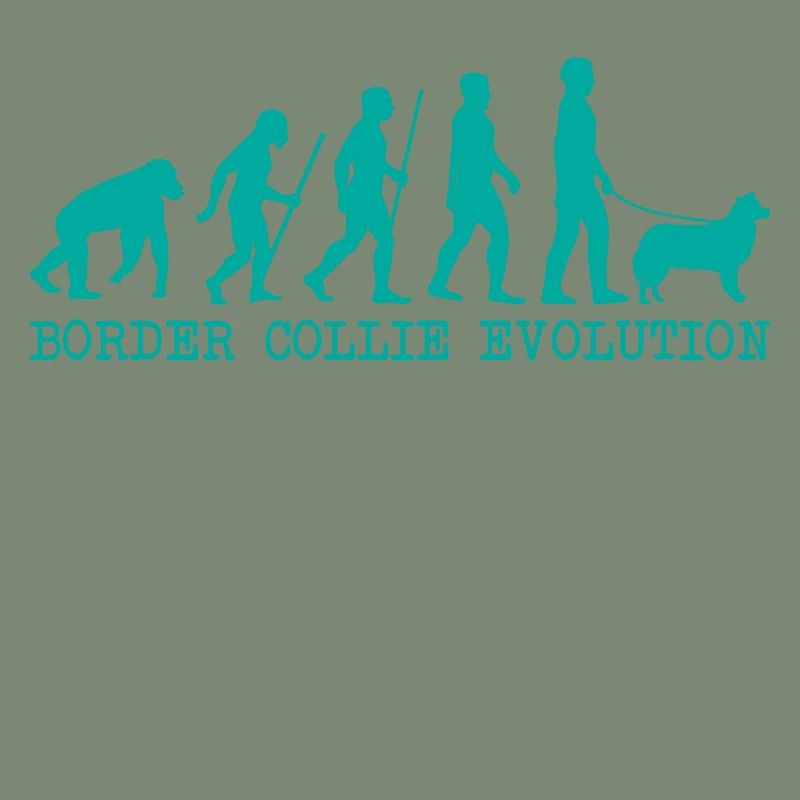 Évolution du Border Collie