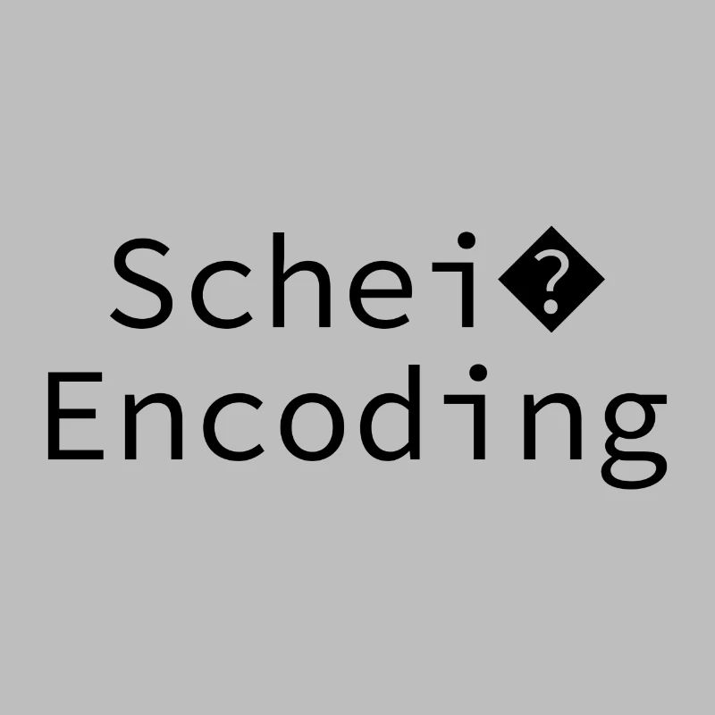 Schei encoding Programming Informatik Geschenk