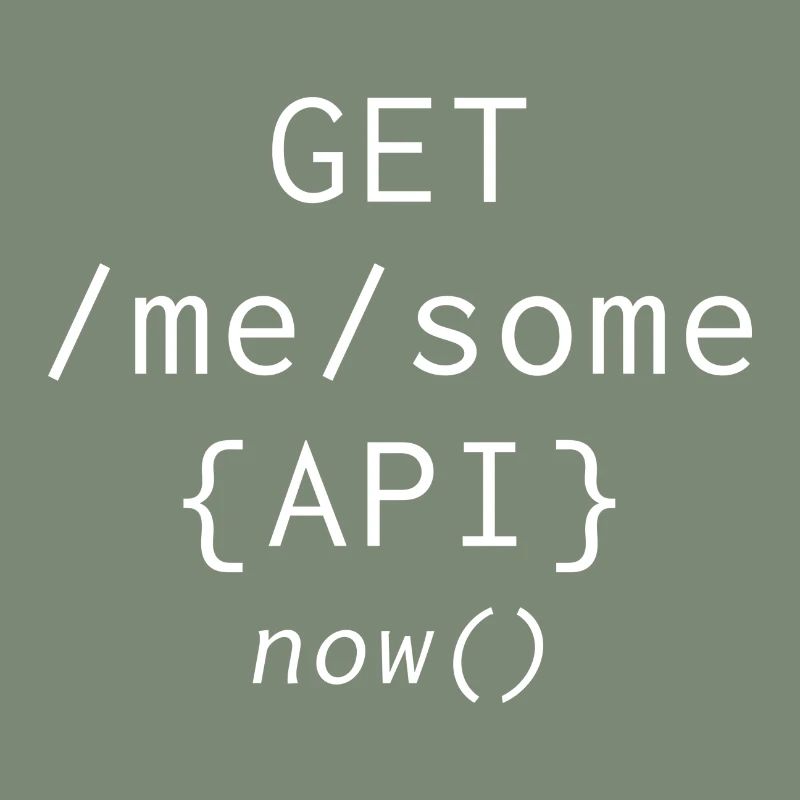 Api Programming Informatic Geschenk Spruch