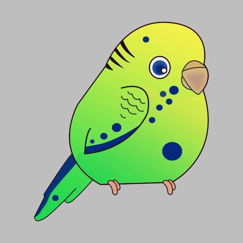 Budgerigar, Small Budgerigar