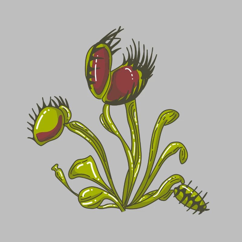 Carnivorous plant Venus flytrap