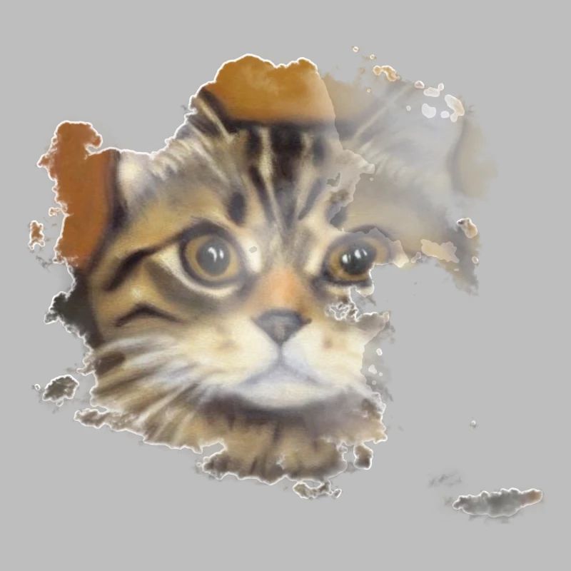Visage de chat 10